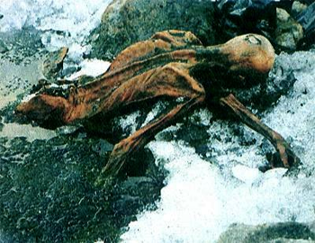 Homme de Similaun (Ötzi) : L'homme de Similaun : Ötzi.