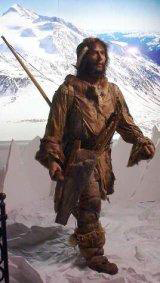 Homme de Similaun (Ötzi) : Représentation d'Ötzi.