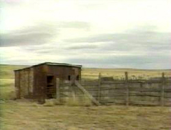 Rowell : Cabanon sur le ranch Foster où le rancher Brazel aurait rassemblé certains des plus gros débris qu'il a trouvé.