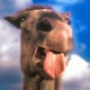 Avatar de l’utilisateur