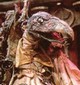 Avatar de l’utilisateur