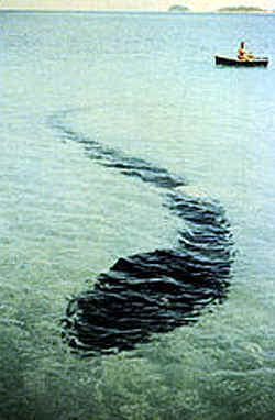 2-grand-serpent-de-mer-1964-12-12-1.png